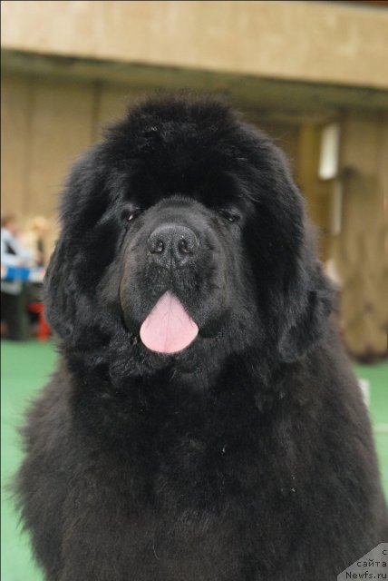 Фотография № 63144