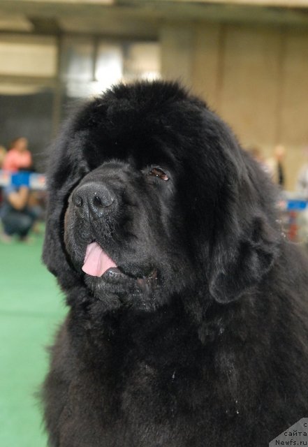 Фотография № 63145