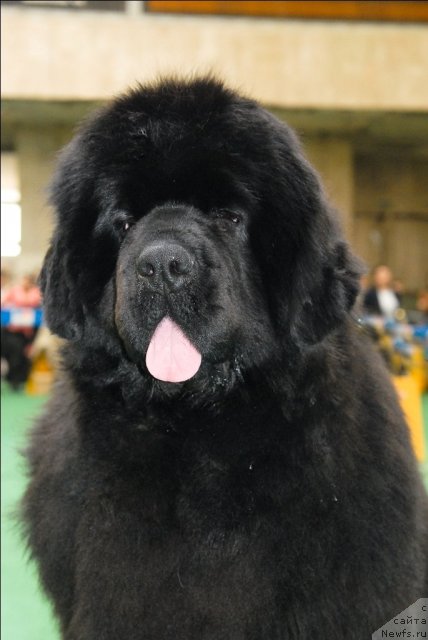 Фотография № 63146