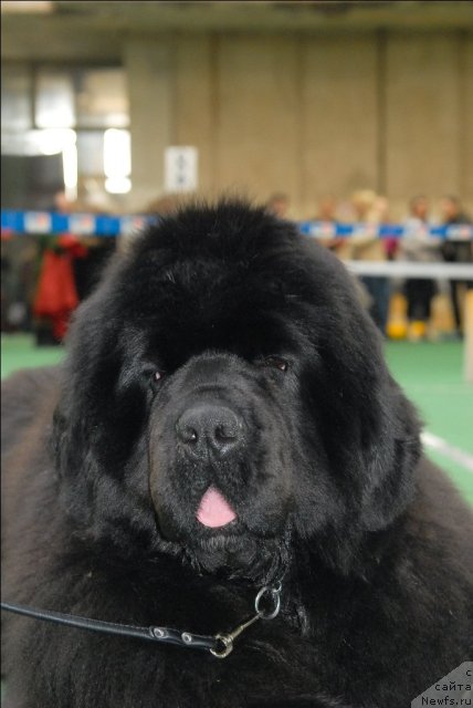 Фотография № 63147