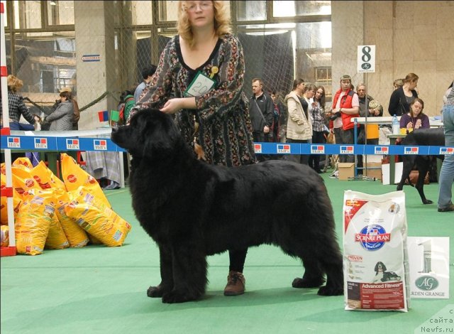 Фотография № 63149