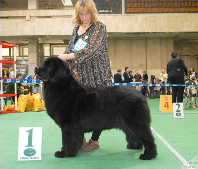 Фотография № 63150