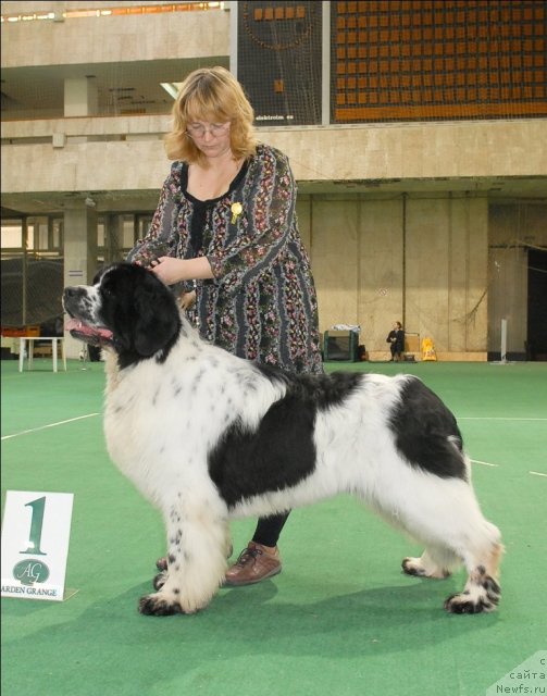 Фотография № 63151