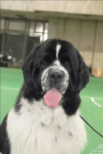 Фотография № 63153