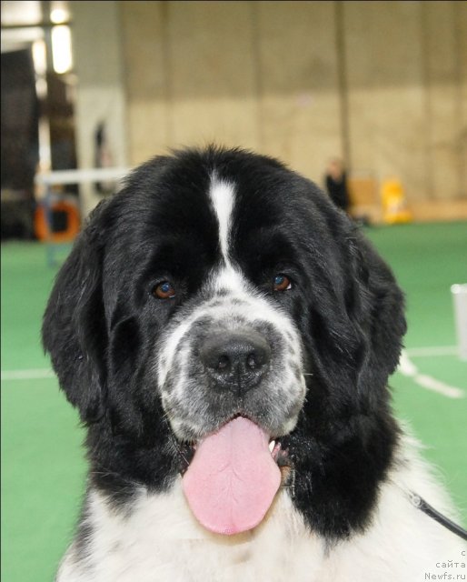 Фотография № 63154