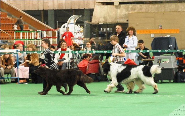 Фотография № 63156