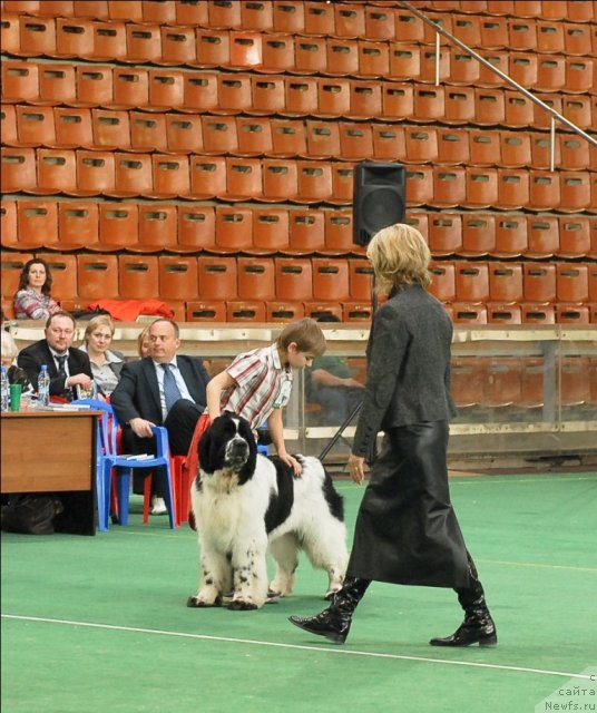 Фотография № 63157