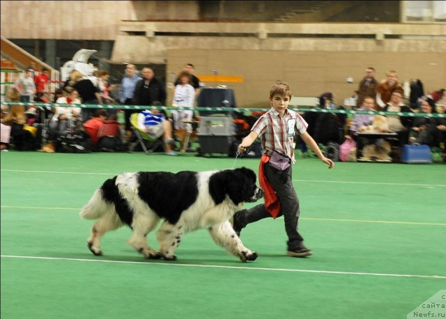 Фотография № 63158