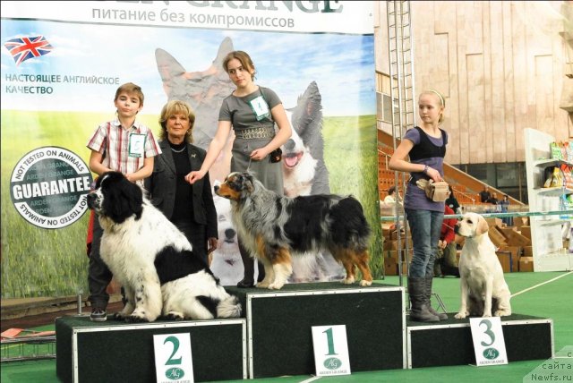 Фотография № 63159