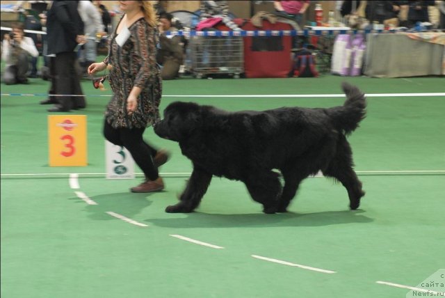 Фотография № 63160