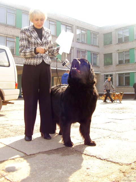 Фотография № 63163