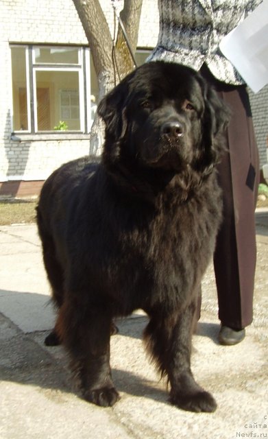 Фотография № 63164