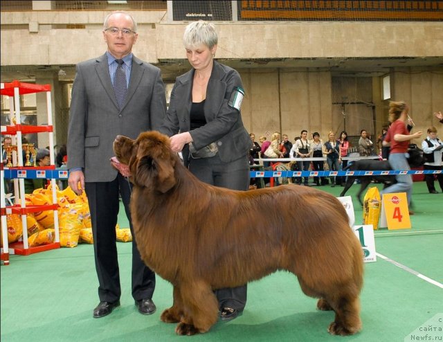 Фотография № 63176