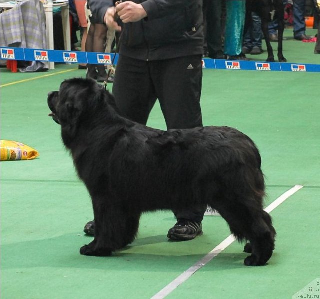 Фотография № 63178