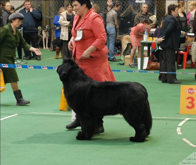 Фотография № 63179