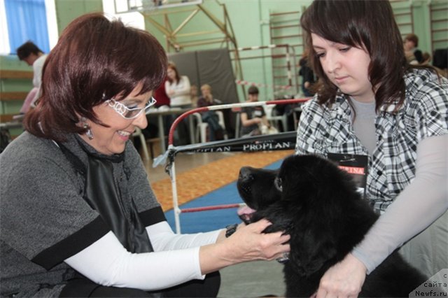 Фотография № 63186