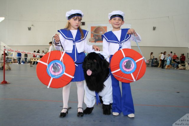 Фотография № 63215