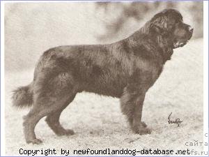 Фотография № 63253