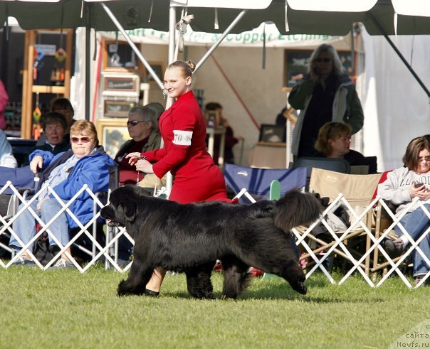 Фотография № 63265