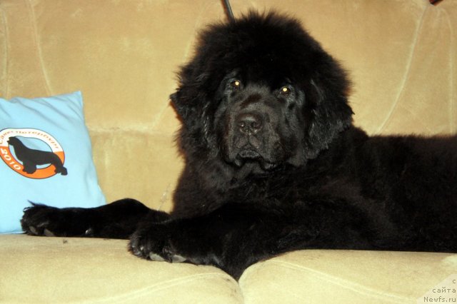 Фотография № 63353