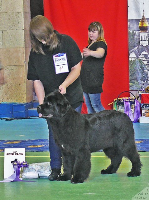 Фотография № 63407