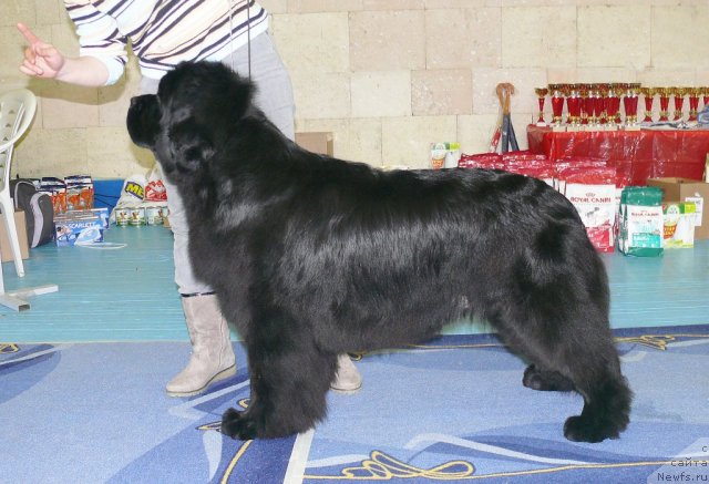 Фотография № 63411