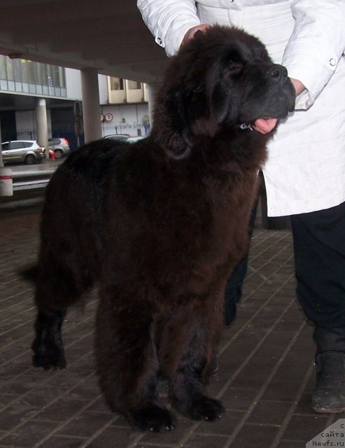 Фото: София возраст 6мес