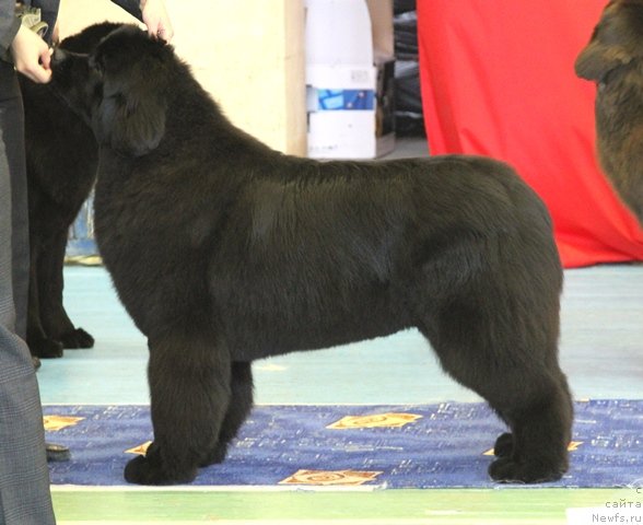 Фотография № 63417