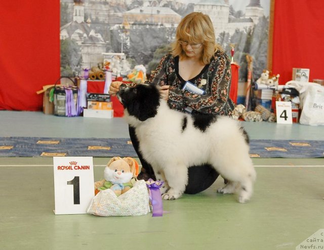 Фотография № 63418