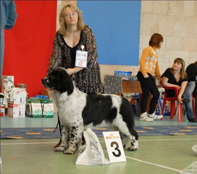 Фотография № 63435