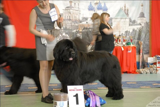 Фотография № 63437