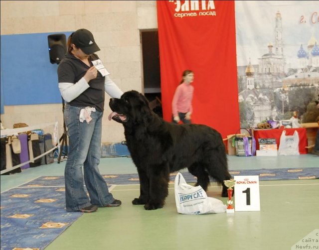 Фотография № 63442