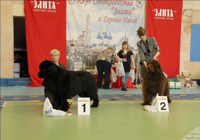 Фотография № 63444