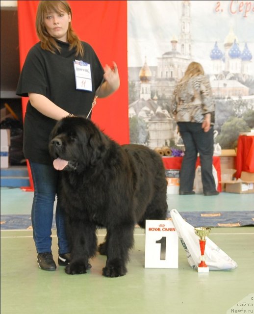 Фотография № 63445