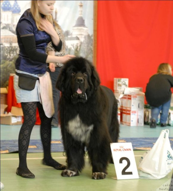 Фотография № 63446