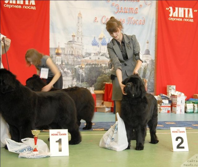 Фотография № 63448