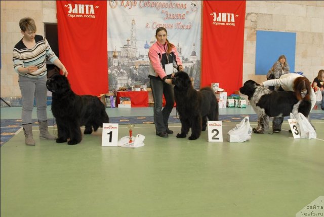 Фотография № 63451