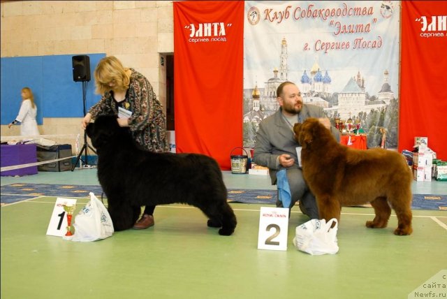 Фотография № 63452