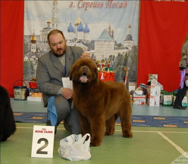 Фотография № 63455