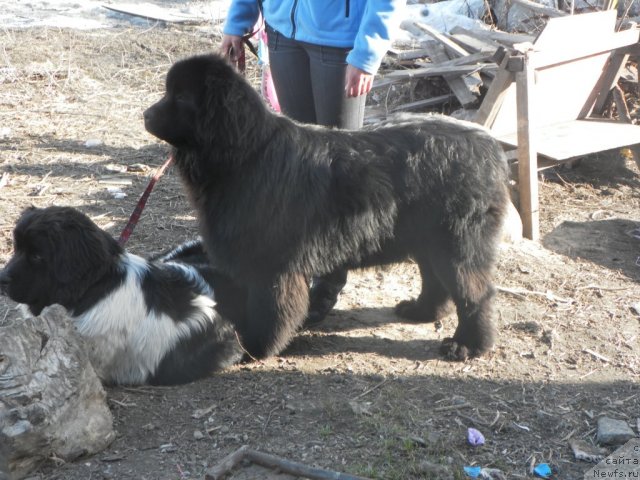 Фотография № 63459