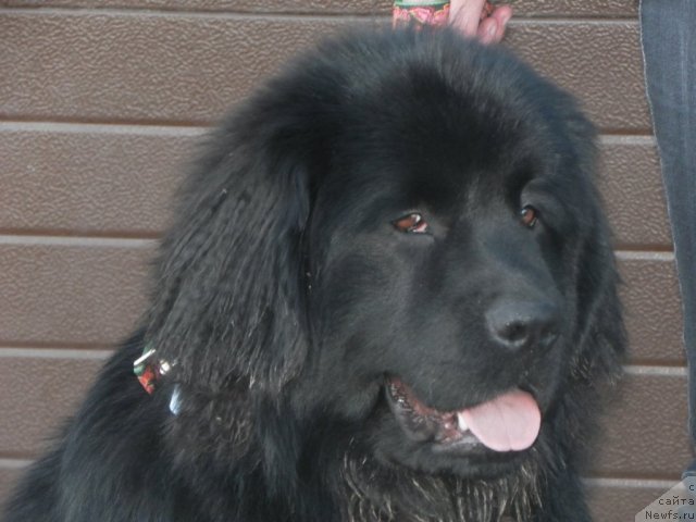 Фотография № 63467