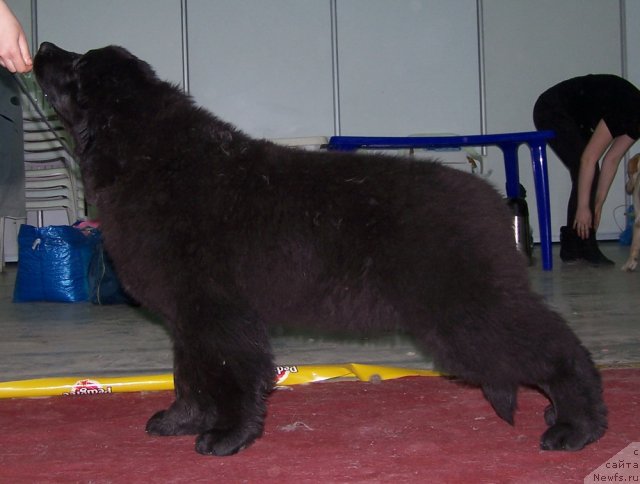 Фотография № 63481