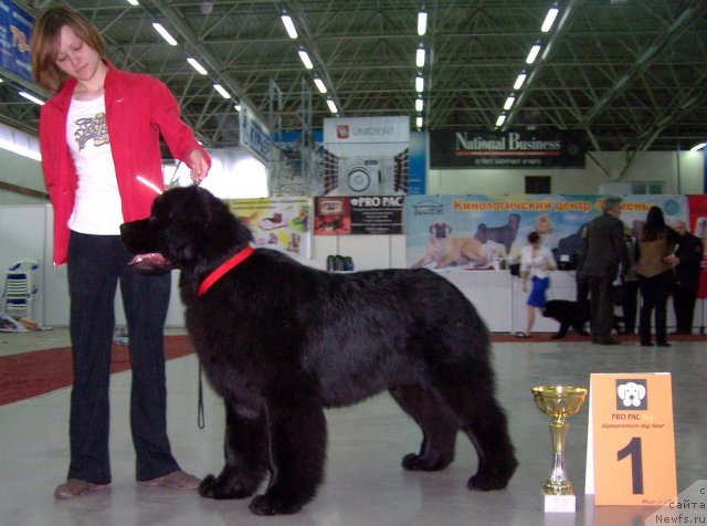 Фотография № 63483