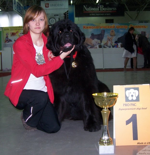 Фотография № 63486