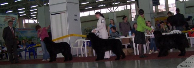 Фотография № 63488