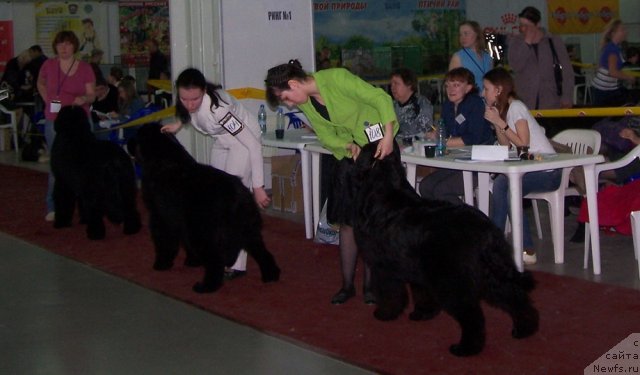 Фотография № 63490