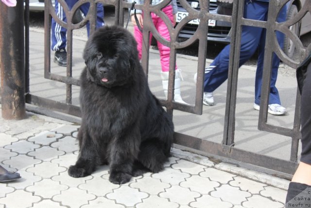 Фотография № 63619