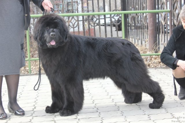 Фотография № 63620