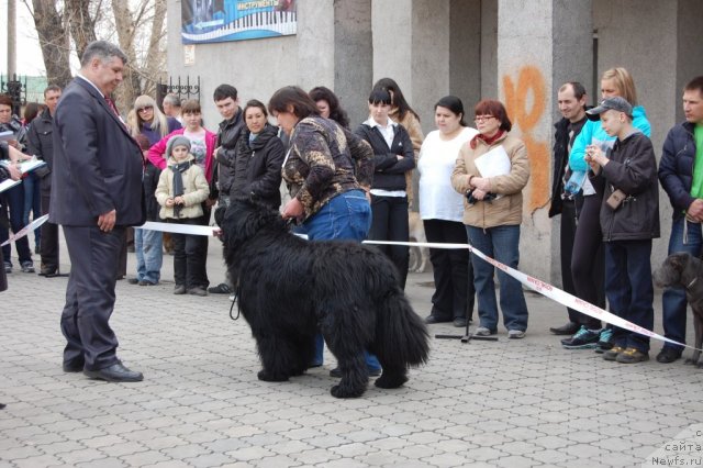 Фотография № 63627