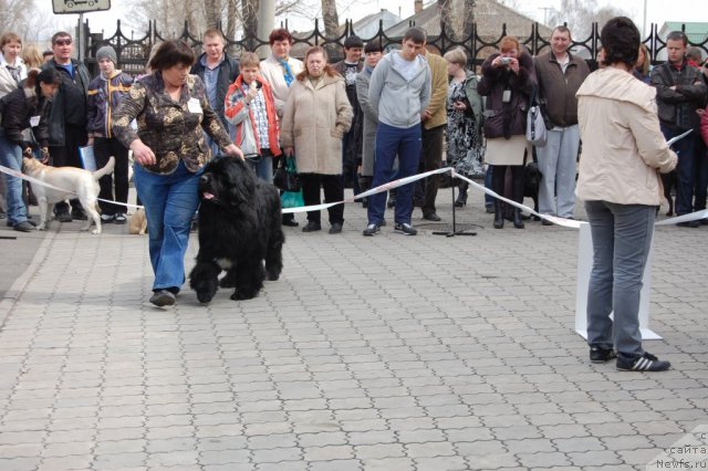 Фотография № 63628